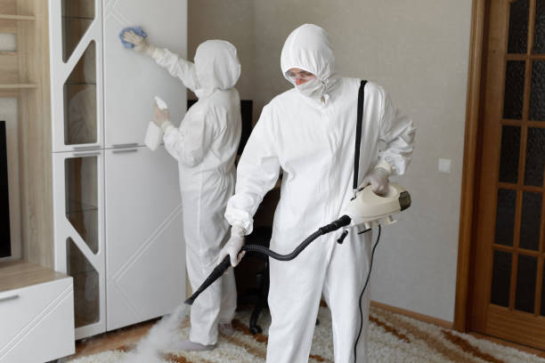24/7 Emergency Odor Removal experts in DeLand, FL