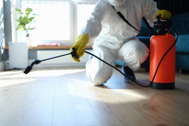 Reliable Odor Removal contractor in DeLand, FL by Trauma Clean Pros